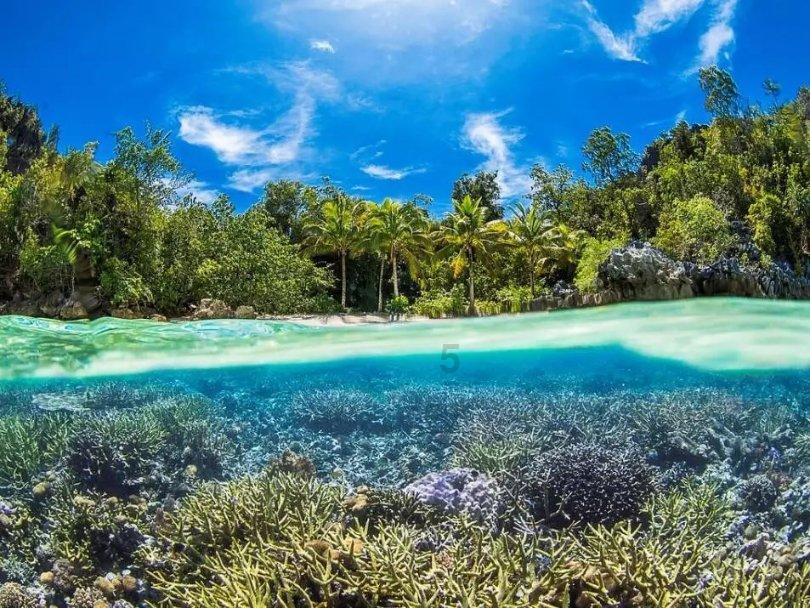 淄博输卵管积水怎么解决[热点解答]济南红绘